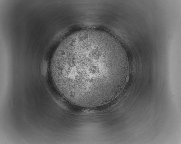 X0000111940742200908031138