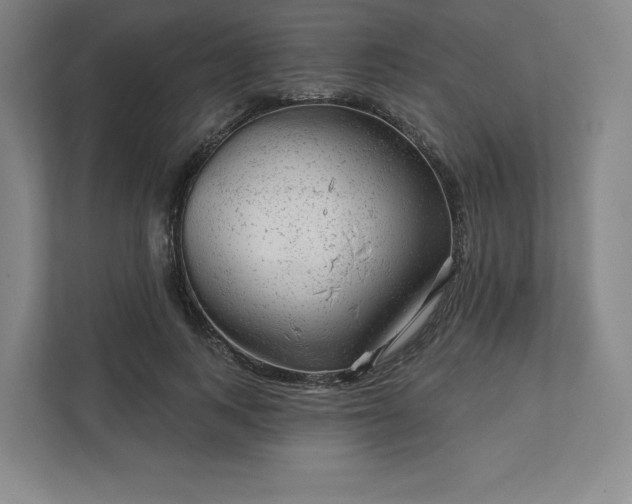 X0000111940743200908031138