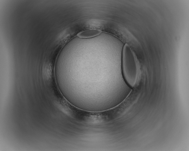 X0000111940744200908031138