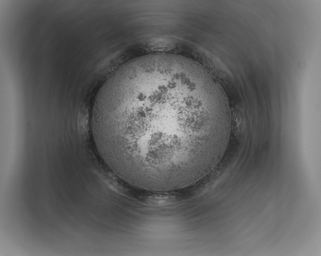 X0000111940745200908031138