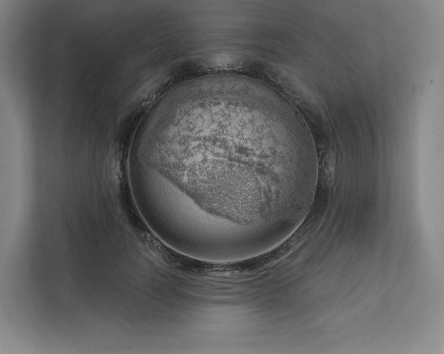 X0000111940746200908031138