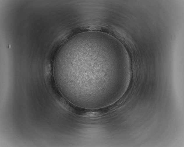 X0000111940748200908031138