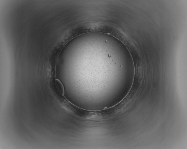 X0000111940750200908031138