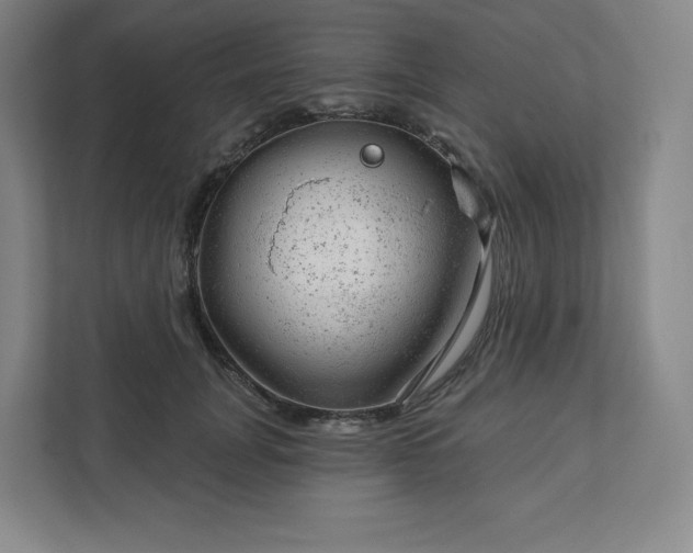 X0000111940751200908031138