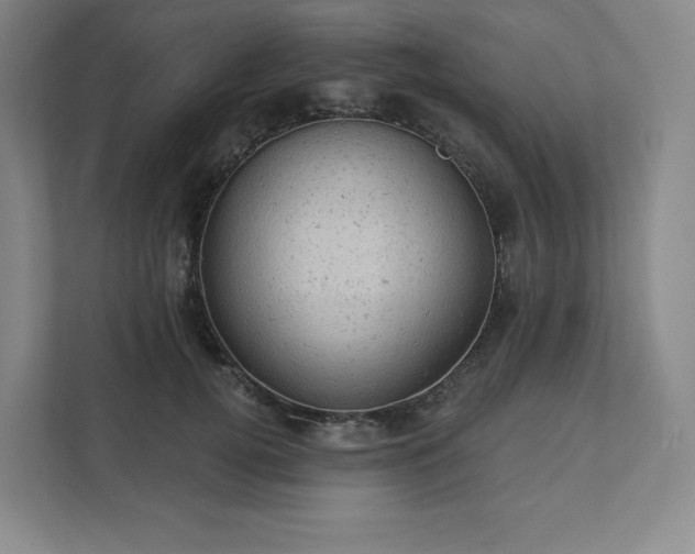 X0000111940752200908031138