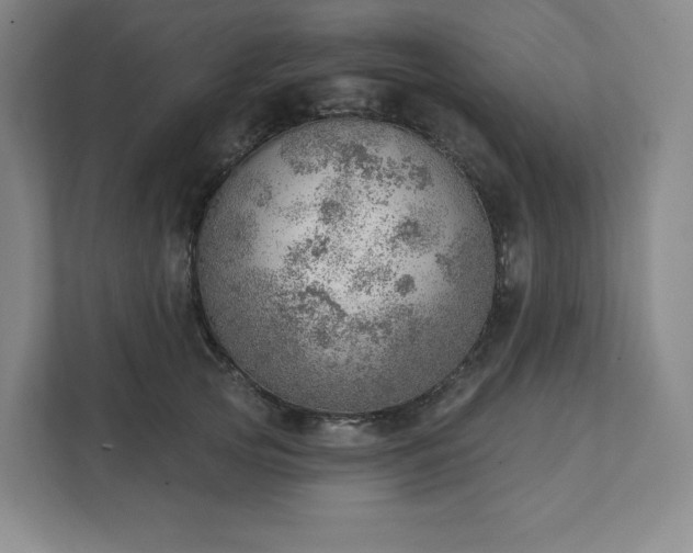 X0000111940753200908031138