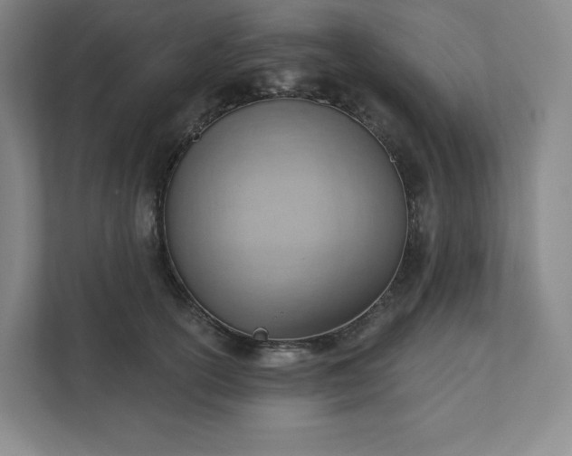 X0000111940754200908031138