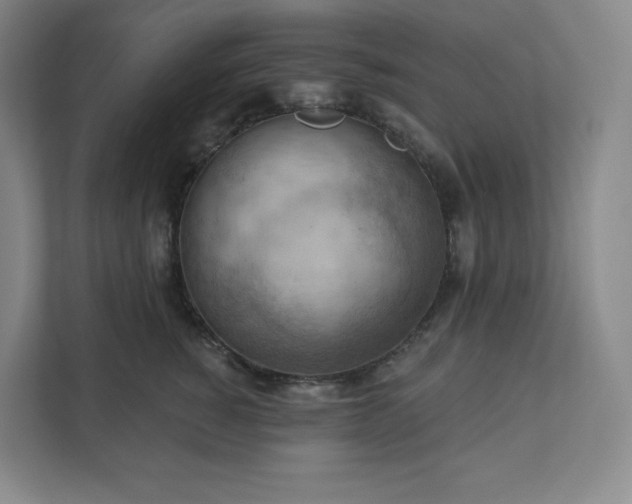 X0000111940760200908031138