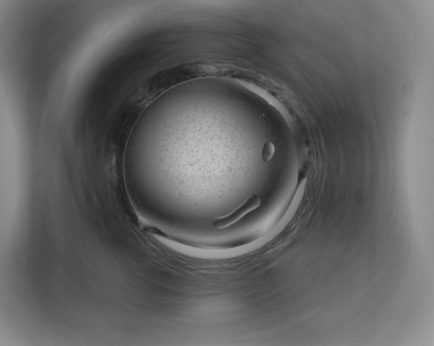 X0000111940762200908031138