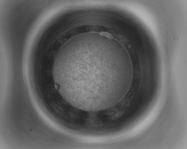 X0000111940766200908031138