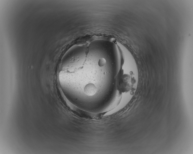 X0000111940769200908031137