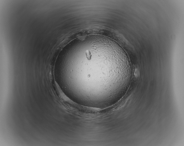 X0000111940771200908031137