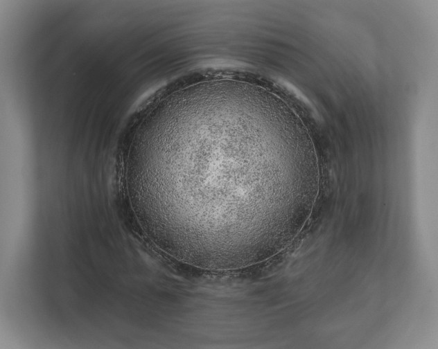 X0000111940775200908031137