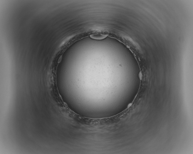 X0000111940776200908031137