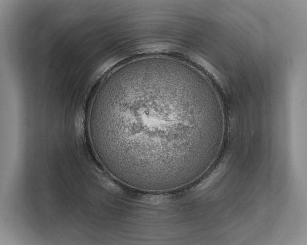 X0000111940778200908031137