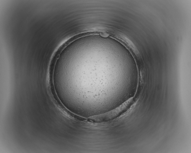 X0000111940780200908031137