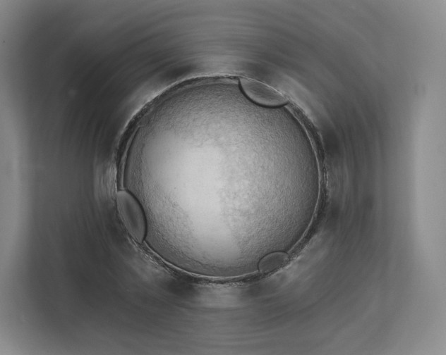 X0000111940781200908031137