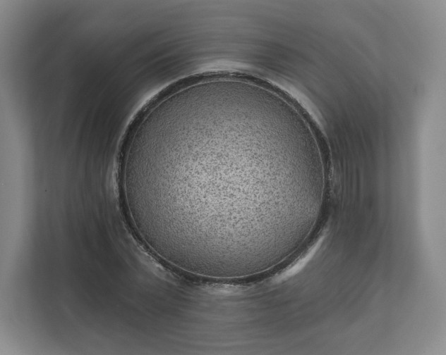 X0000111940783200908031137