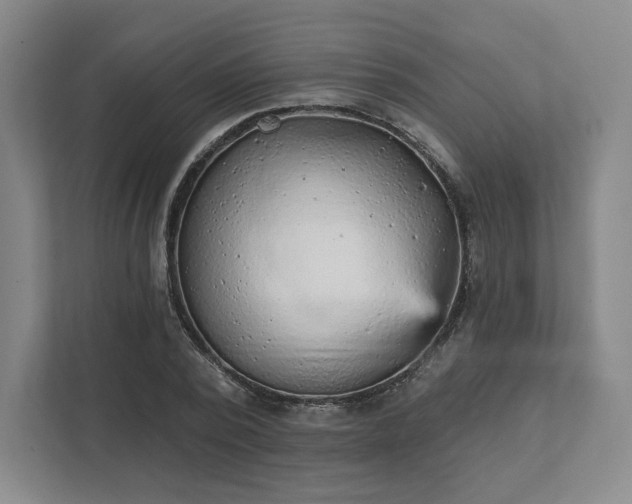 X0000111940784200908031137