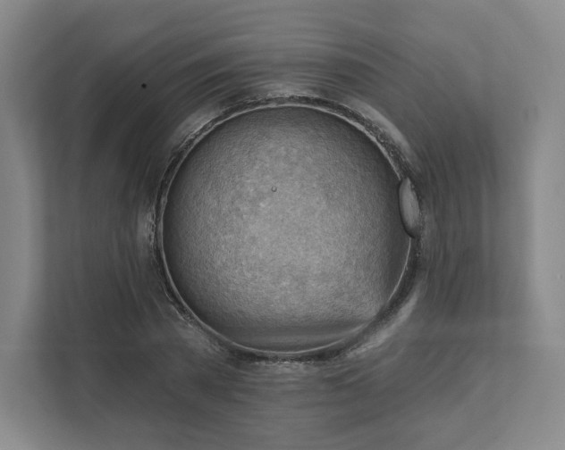 X0000111940785200908031137