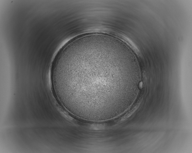 X0000111940788200908031137