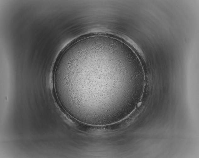 X0000111940791200908031137