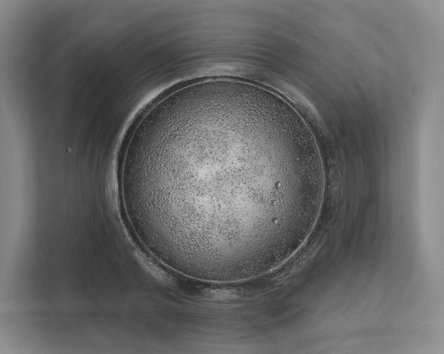 X0000111940792200908031137