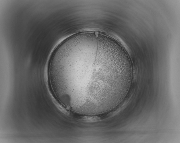 X0000111940795200908031137