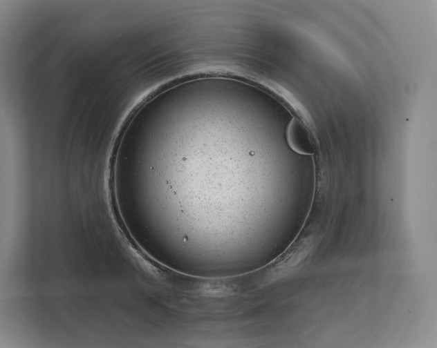 X0000111940799200908031137