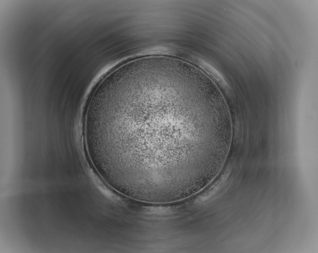 X0000111940800200908031137