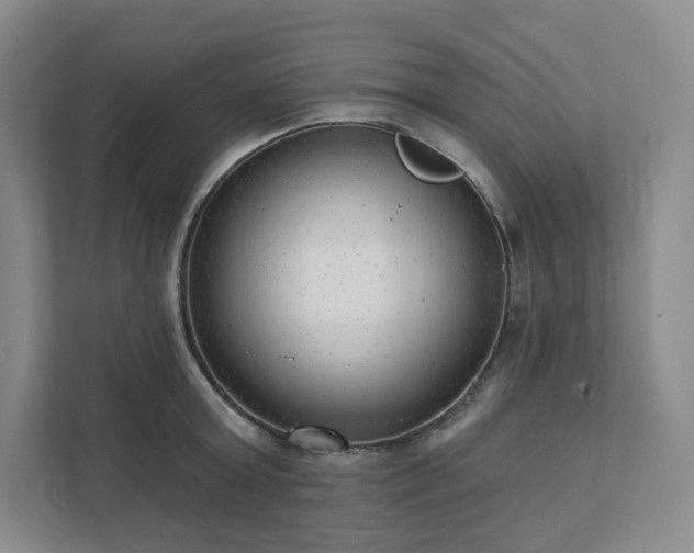 X0000111940803200908031137