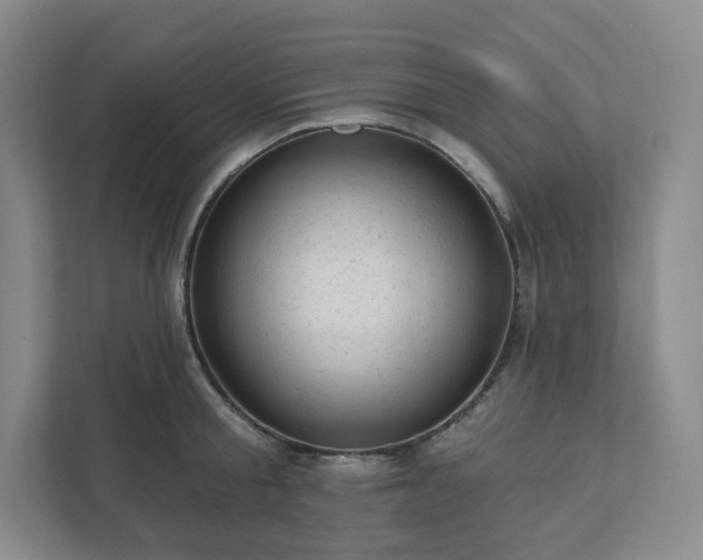 X0000111940805200908031137