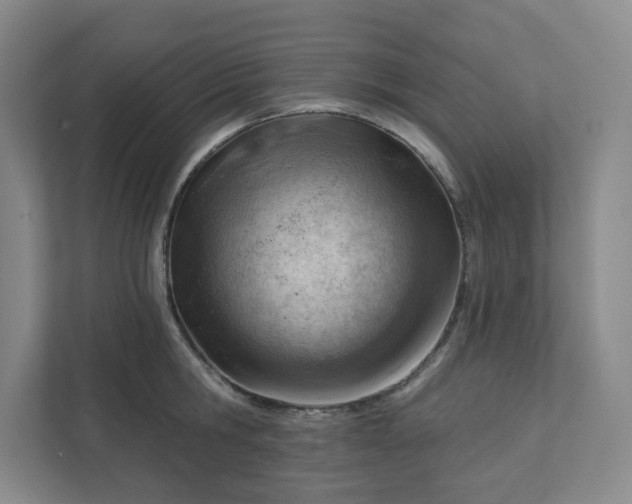 X0000111940806200908031137