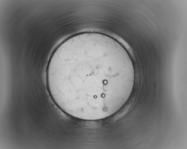 X0000111940807200908031137