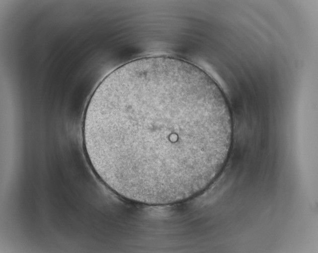 X0000111940810200908031137