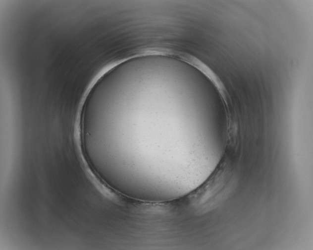 X0000111940811200908031137