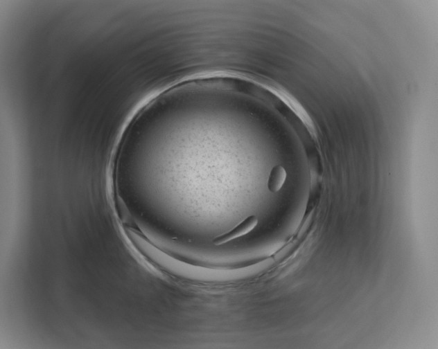 X0000111940813200908031137