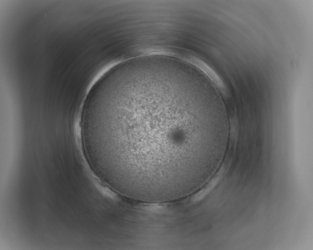 X0000111940814200908031137