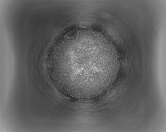 X0000111940817200908031136