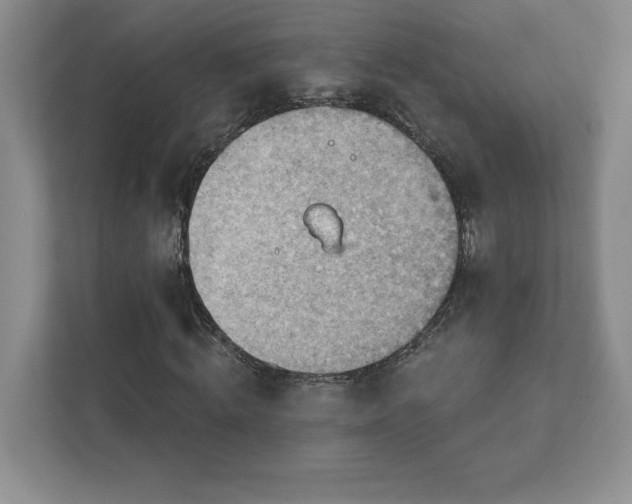 X0000111940820200908031136