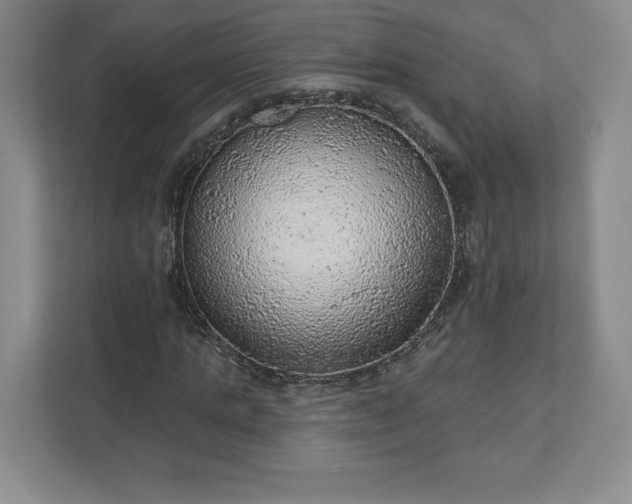 X0000111940821200908031136