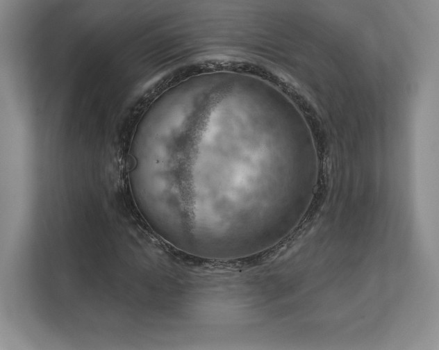 X0000111940822200908031136