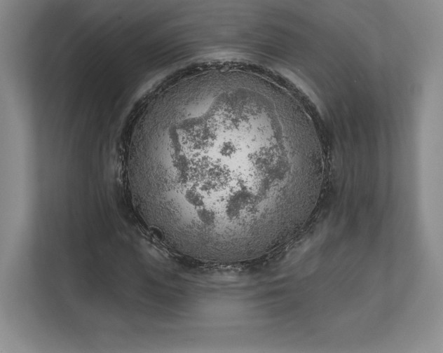 X0000111940823200908031136