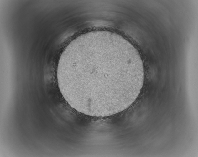 X0000111940824200908031136