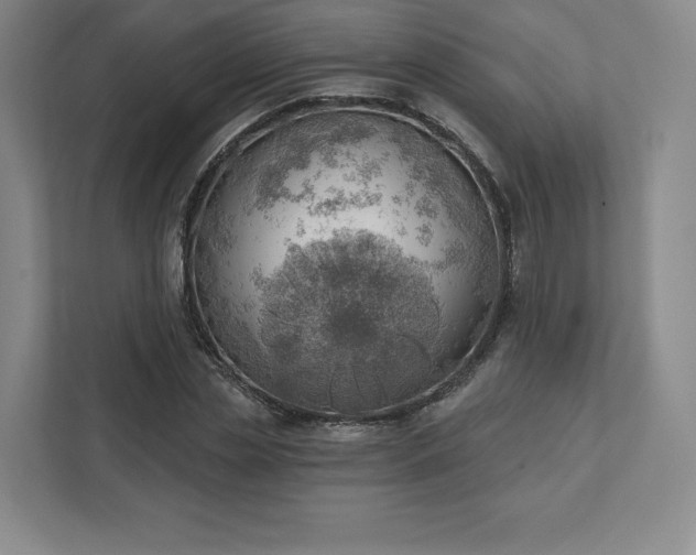 X0000111940829200908031136