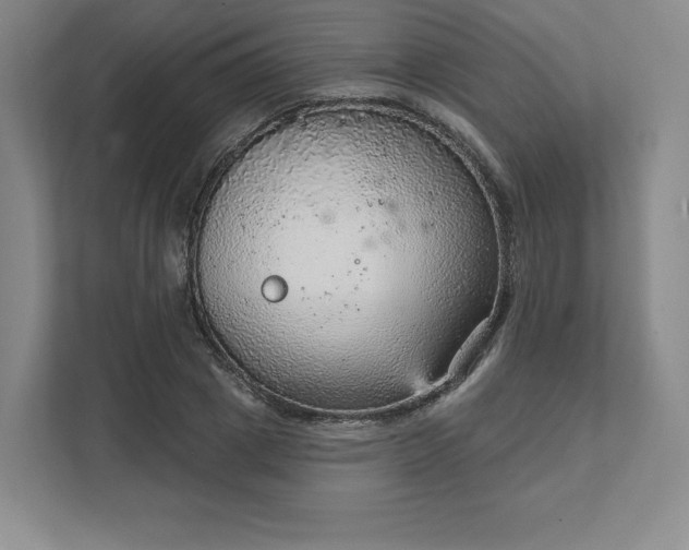 X0000111940833200908031136