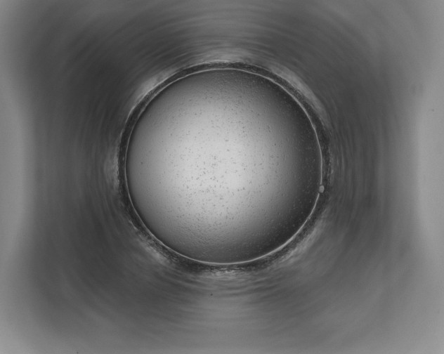 X0000111940834200908031136