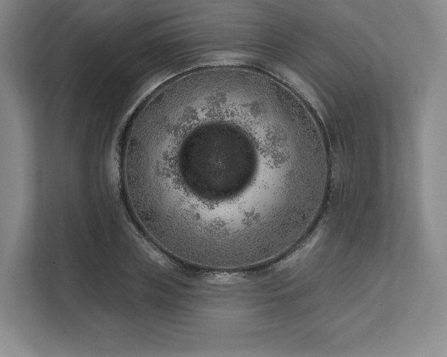 X0000111940835200908031136