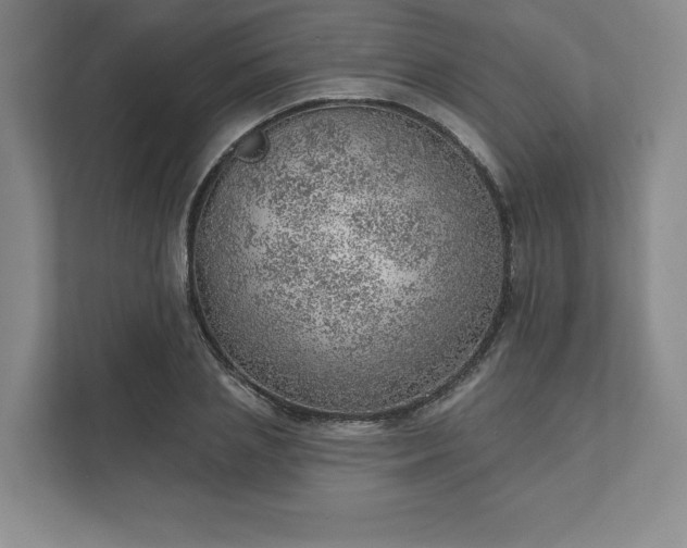 X0000111940837200908031136