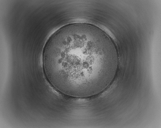 X0000111940839200908031136